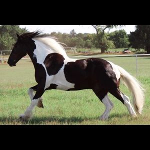 Meet your Posher, Jorge